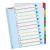 Rozraďovač A4, MYLAR MAXI,1-12