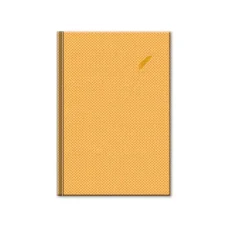 Notes ELEGANT ZLATÝ