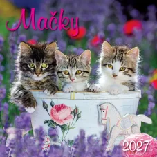 Nástenný kalendár Mačky 2027